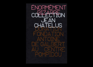 Énormément bizarre. Collection Jean Chatelus. Donation Fondation Antoine de Galbert au Centre Pompidou